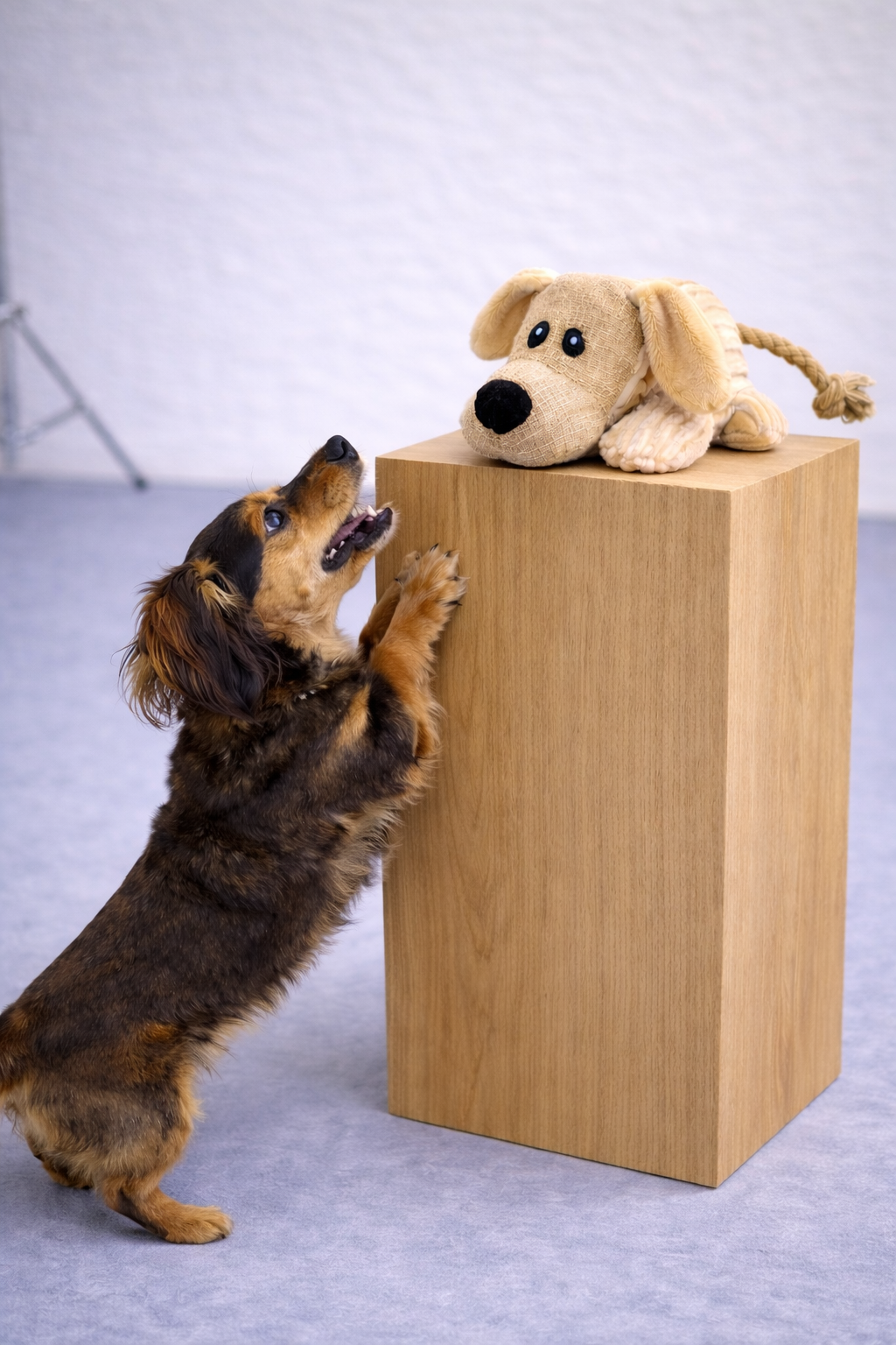 Peluche interactive avec squeaker pour chien – Oscar