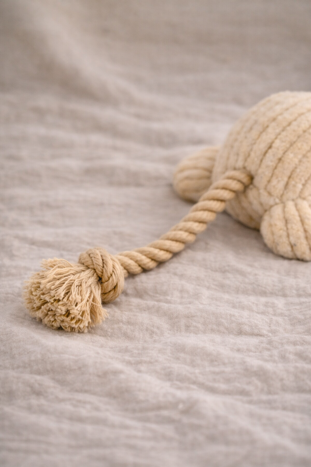 Peluche interactive avec squeaker pour chien – Oscar